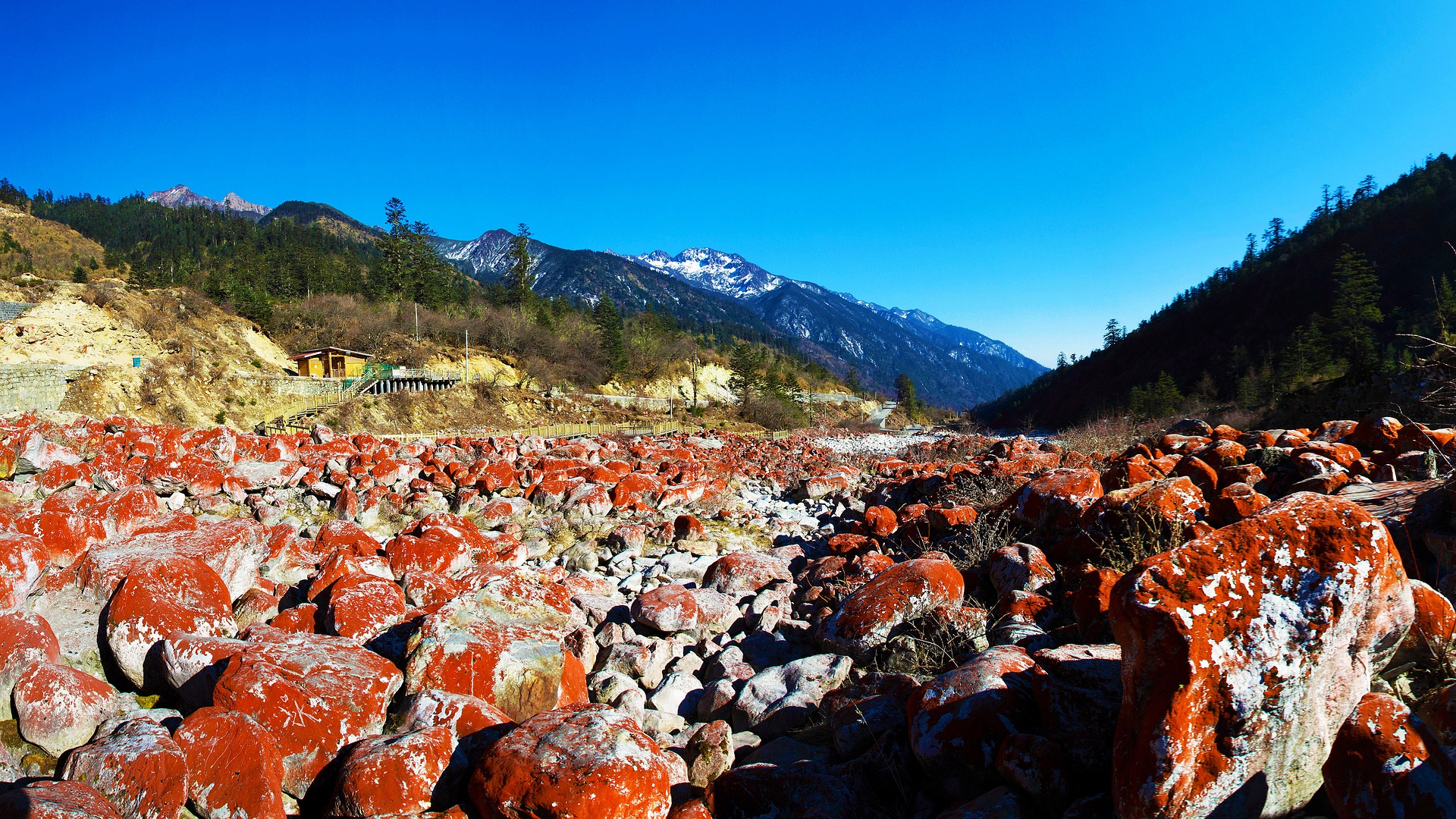 red-rocky-beach-2132714_1920.jpg