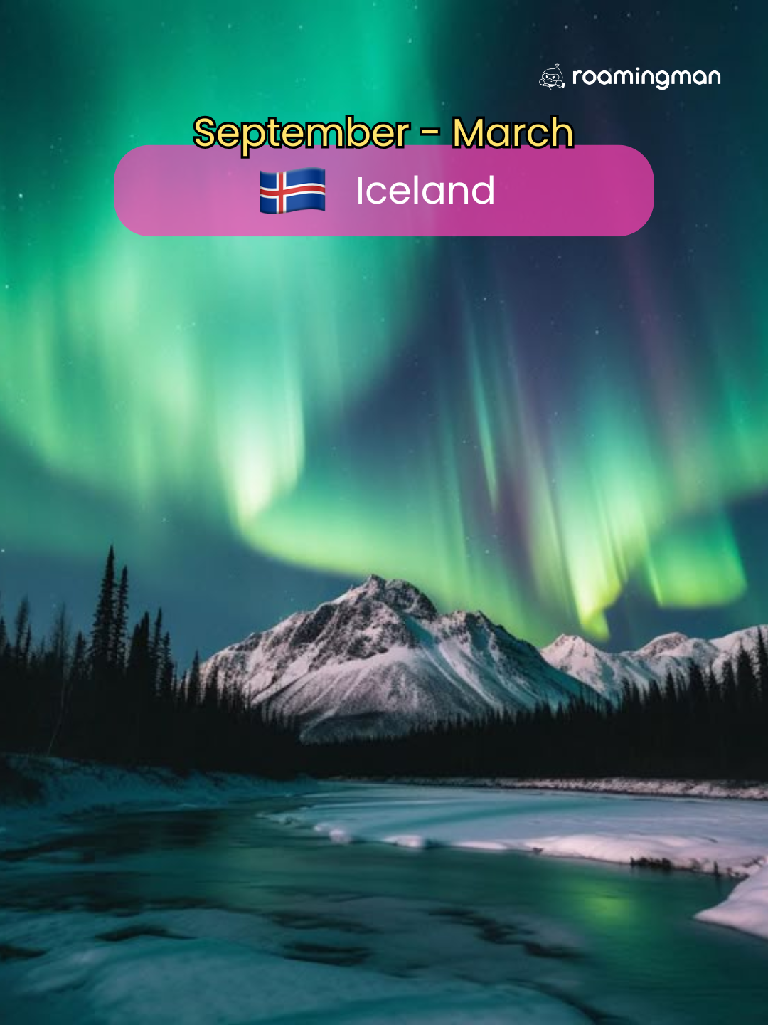 1772595206602354.png 12.png