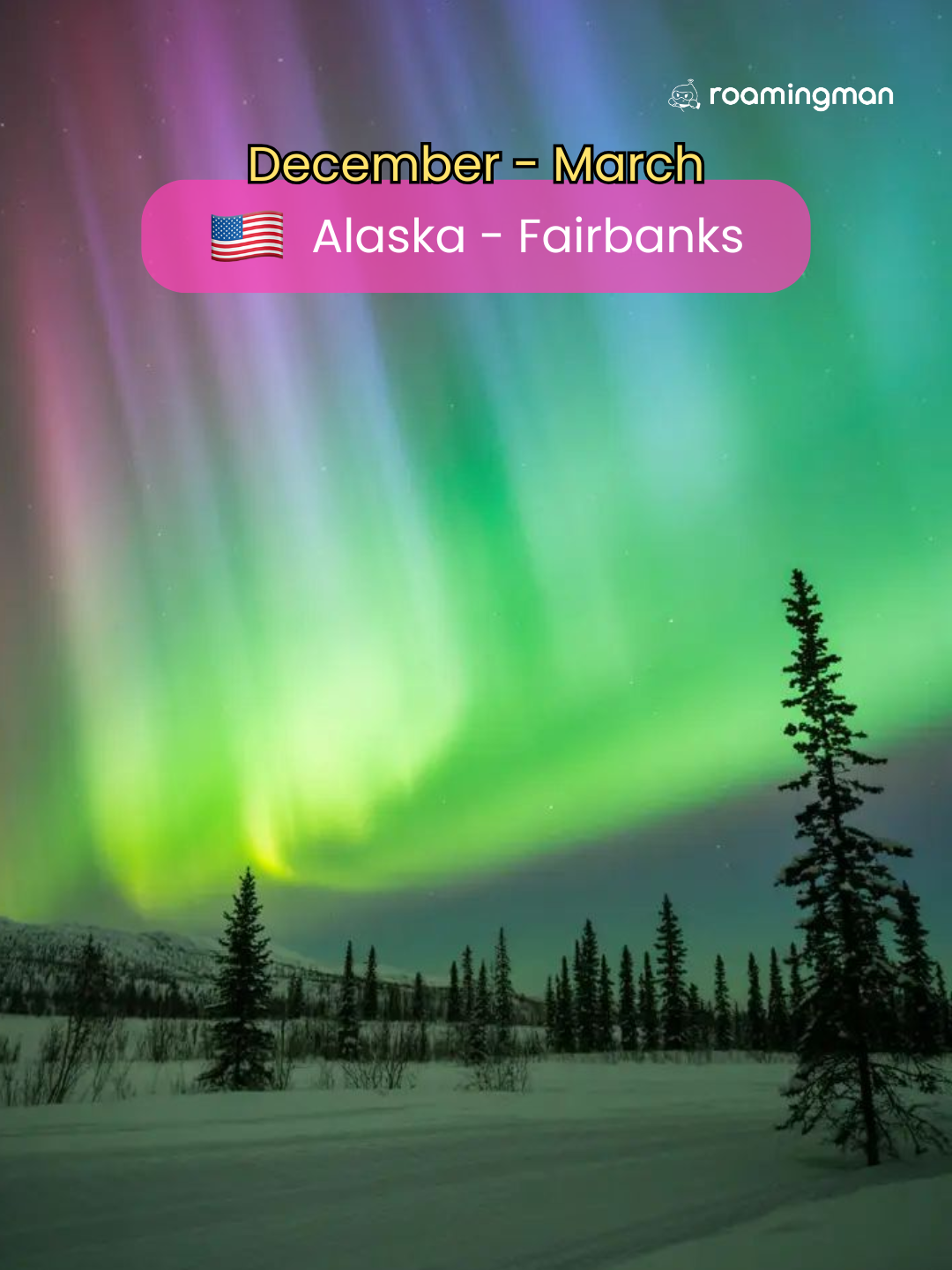 1772595294199844.png 13.png